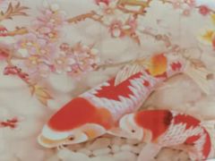 -东江海辉酒楼·公司团建·商务宴请·生日宴(宝安店)
