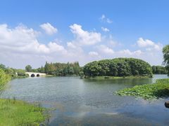 -尚湖风景区
