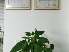 -上海海驰律师事务所
