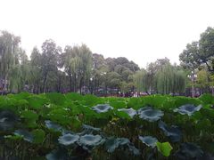-四川大学(望江校区)
