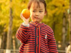 -重庆市江北嘴中央商务区中央公园