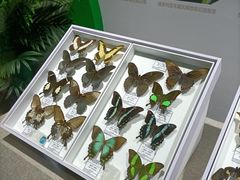 -烟台市博物馆