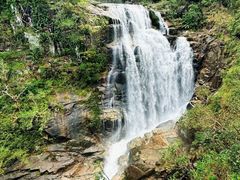 -海南热带雨林国家公园吊罗山景区