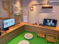 -MOCHA明星猫咖(田子坊店)