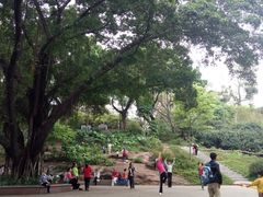-晓港公园