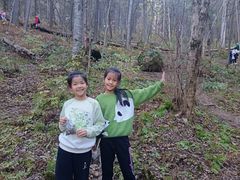 -五营红松林海景区