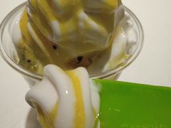 -Salud撒露欧洲冻酸奶(798艺术区店)