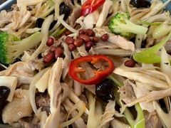 麻椒鸡-董小西的凉皮和椒麻鸡(三元桥店)