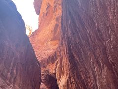 -天山神秘大峡谷