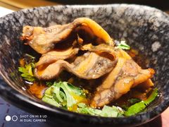 -新哥老官·畅吃123·美蛙世界(苏宁广场店)