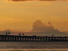 -宝安西湾红树林湿地公园