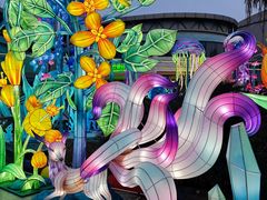 -海合安武汉极地海洋公园