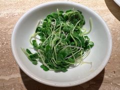 -佬肥猫(七宝宝龙店)