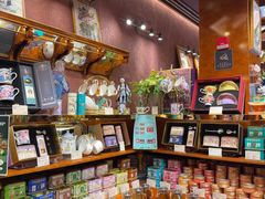 -布兰兔的植物庄园(杭州南宋御街店)