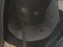-瑞派长江宠物医院·猫科·外科·24小时夜护(谊城公寓分院)