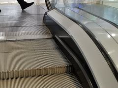 -滚猫咖啡·猫咖·猫友好撸猫(未来城店)