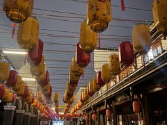 -洋湖国家湿地公园