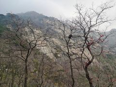 -泰山风景名胜区