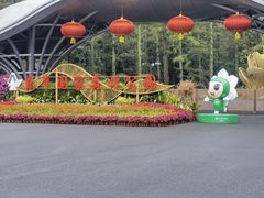-东平国家森林公园