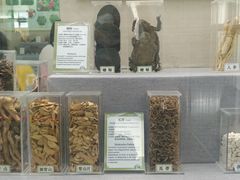 -北京中医药大学-中医药博物馆