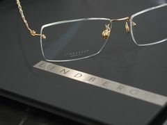 -大视光学•LINDBERG林德伯格•全球手工眼镜集合店(王府井店)
