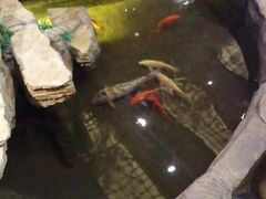 -鸥迪足道(湖南示范店)