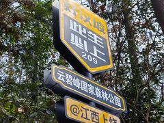 -云碧峰国家森林公园