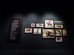-大庆市博物馆