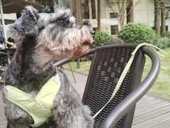 -一尺花园(安和花园店)