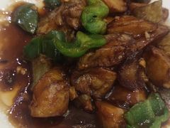 -邵年鸽(杨庄店)