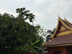 -西双版纳总佛寺