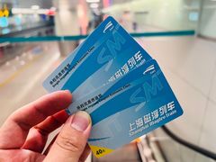 -龙阳路磁悬浮列车总站-停车场