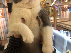 -小时光咖啡馆(开森度假森林店)