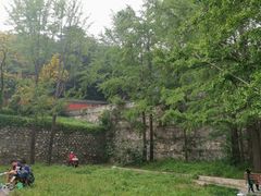 -阳台山自然风景区