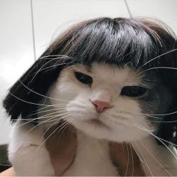 -苑苑发型设计