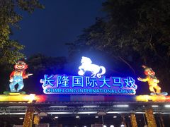 -广州长隆国际大马戏