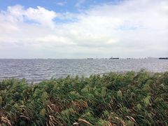 -吴淞炮台湾湿地森林公园烧烤区