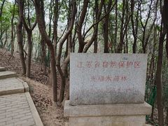 -香雪海