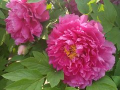 -合肥三国新城遗址公园