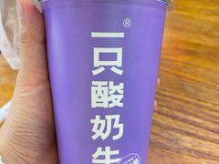 -一只酸奶牛(八一路店)