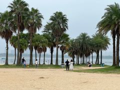 -柳湖沙月沙滩公园