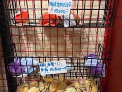 -天河体育中心