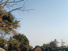 -中山路壹号传奇club·啤酒花园餐厅