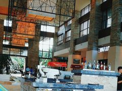 -三亚海棠湾喜来登度假酒店大堂吧