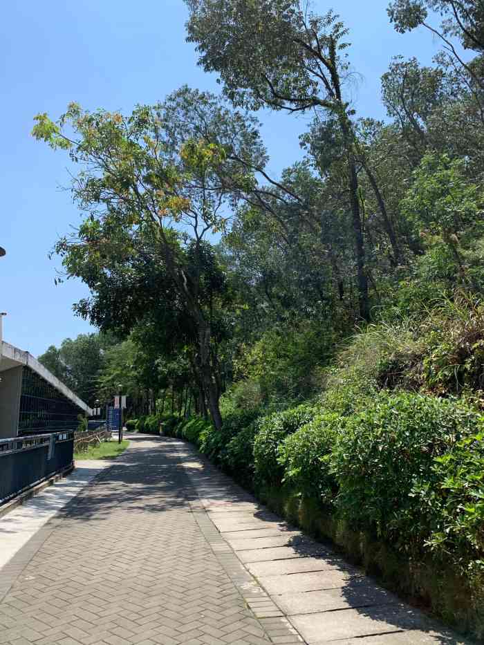 牛山公园-"免费 [疑问]带好水,做好驱蚊跟防晒,超."-大众点评移动版