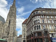 -斯蒂芬主教座堂(Stephansdom)