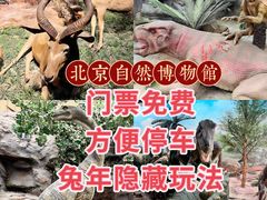 -国家自然博物馆