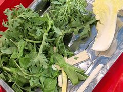 -金鼎雪山牦牛杂火锅(理县总店)