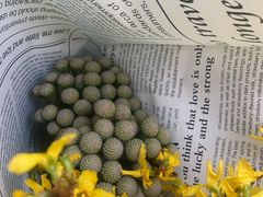 -双季花艺园艺市场(浦东店)