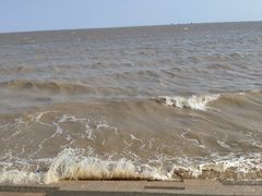 -碧海金沙